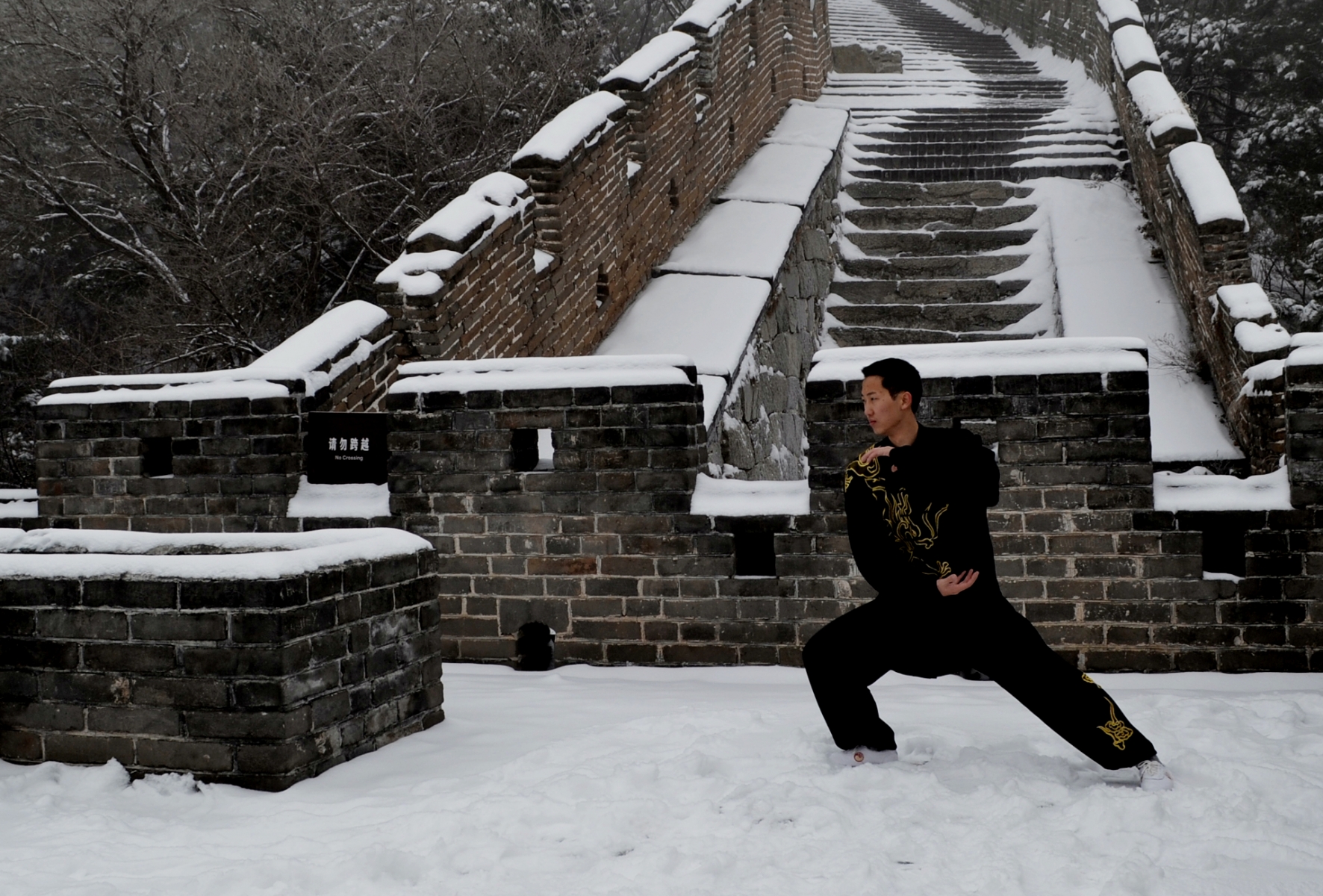 Tai Chi Chuan