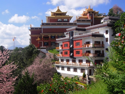 Thrangu Clinic